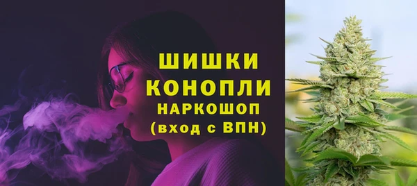 сатива Горнозаводск