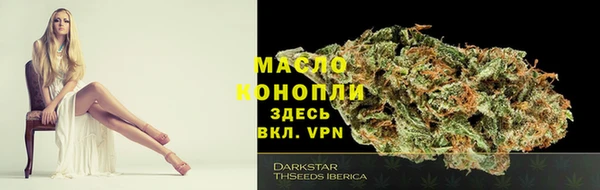 сатива Горнозаводск