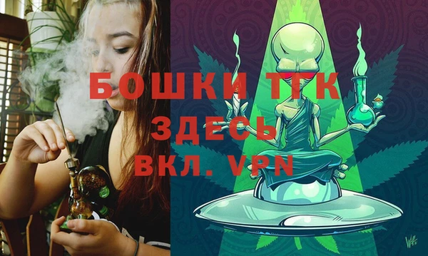 гидра Гусь-Хрустальный