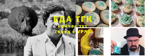 сатива Горнозаводск