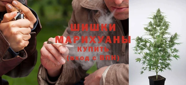сатива Горнозаводск